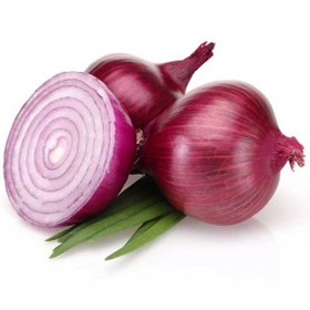 خرید و قیمت پیاز صحرایی + فروش عمده